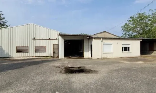 Bureau 660 m²