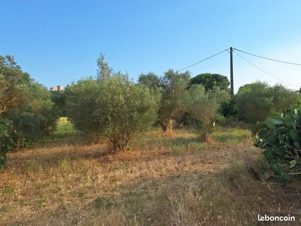 Terrain + cabanon de loisirs