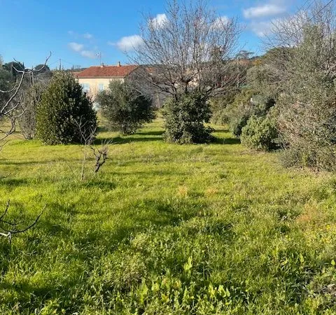 TERRAIN PLUS MAISON à Cereyste