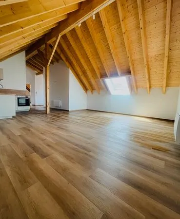 Grand F2 - 78 m² - Guémar (68970)