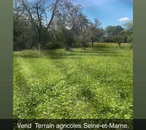 Vendre terrain agricole