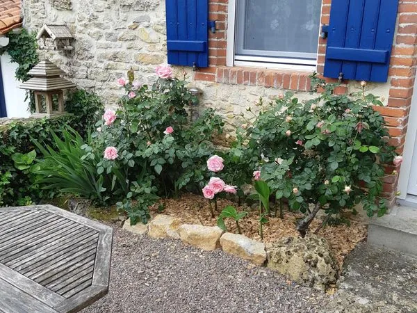 Location logement indépendant