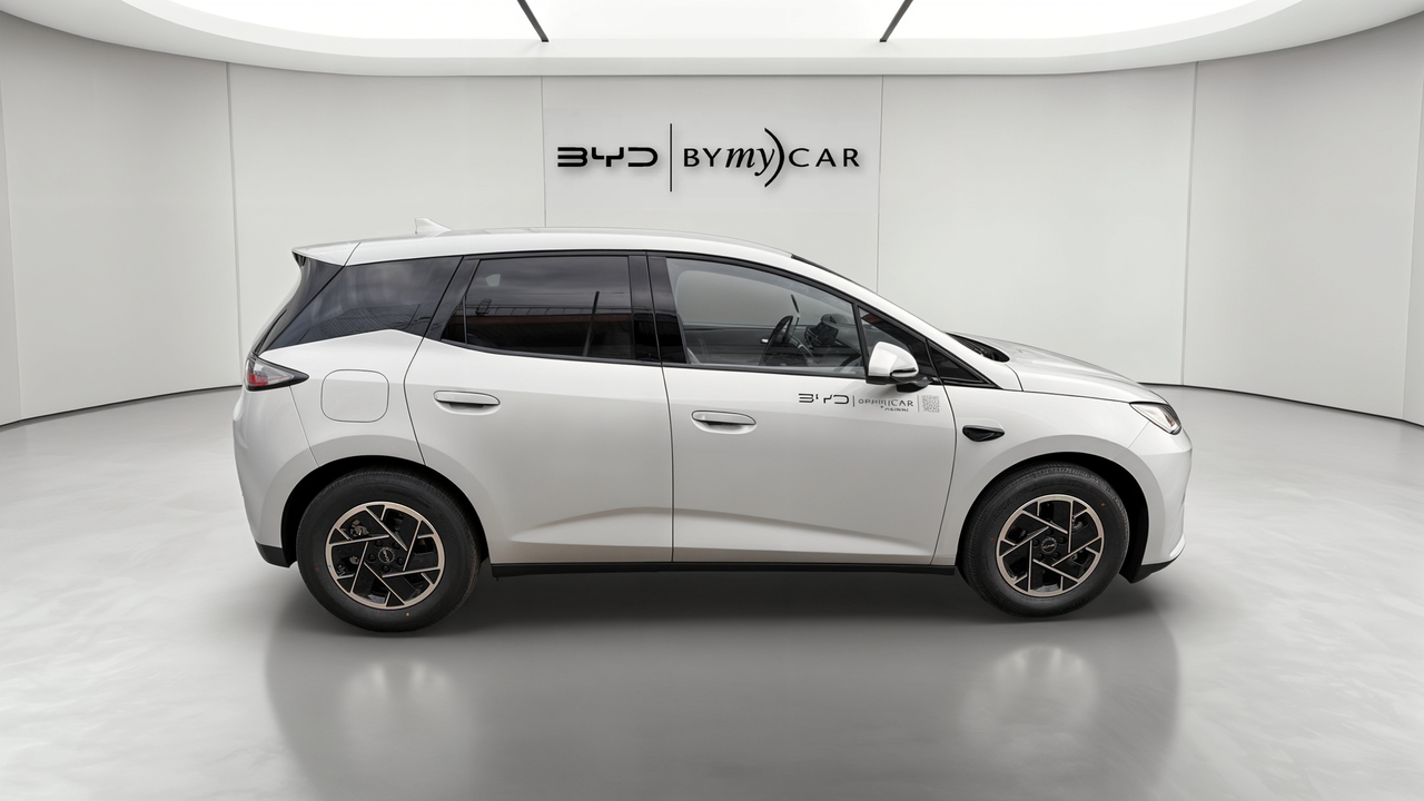 BYD Dolphin G 1.5 DM-i PHEV 212 ch — photo 6