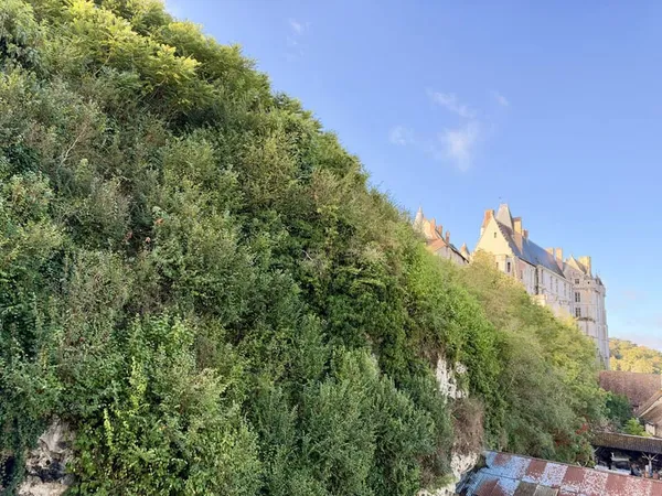 ENSEMBLE ATYPIQUE AU COEUR DE CHÂTEAUDUN, AVEC SES ANCIENNES GROTTES ET UNE VUE IMPRENABLE SUR LE CH