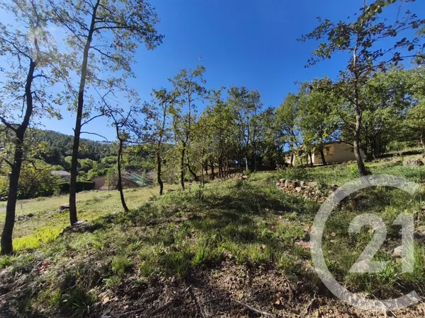 Terrain 1205 m²