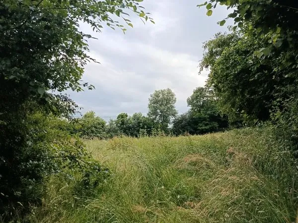 Terrain 4000m2