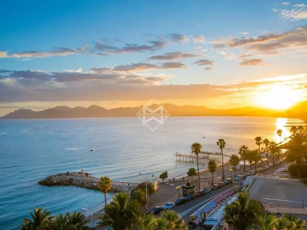 Cannes : murs et fonds de commerce - emplacement recherché