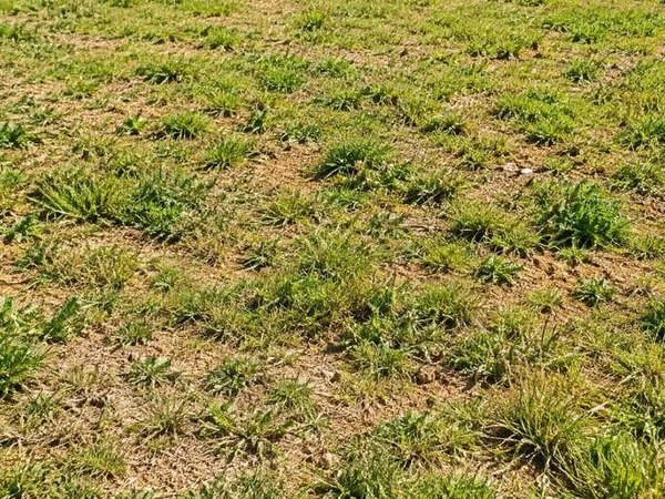 Terrain constructible 1200 m²