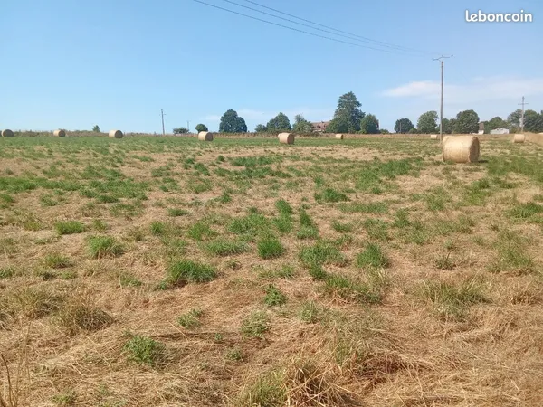 Vente 1 hectare de terrain agricole