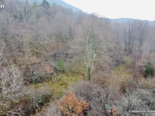 Terrain 39 987 m² Saint Die Des Vosges