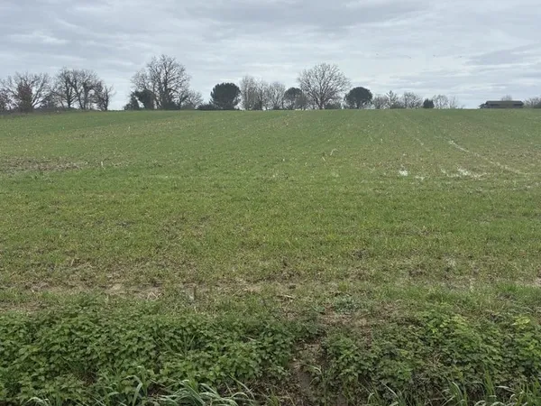 Terrain 1000 m²