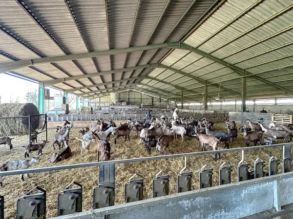 Exploitation laitière 1 pièce