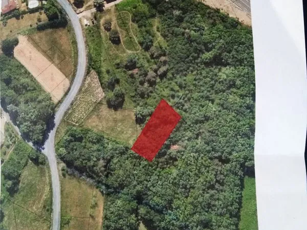 Cède parcelle de terrain agricole