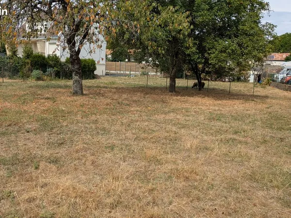 Terrain constructible