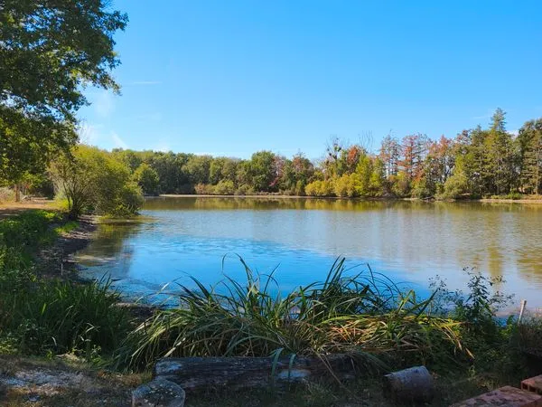 Propriété à vendre en Sologne