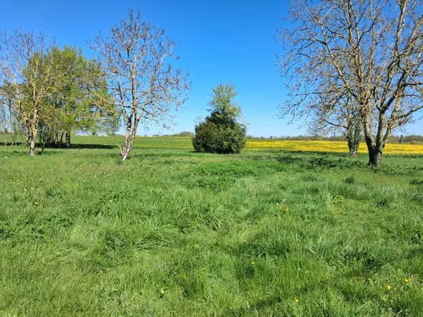 Terrain 1294 m²