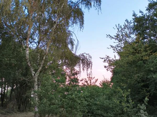 Terrain d'environ 78 ares avec présence d'une maison en très mauvais état