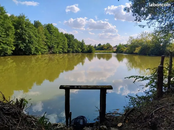 Etang avec terrain