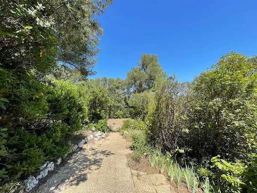 Terrain 1000 m²