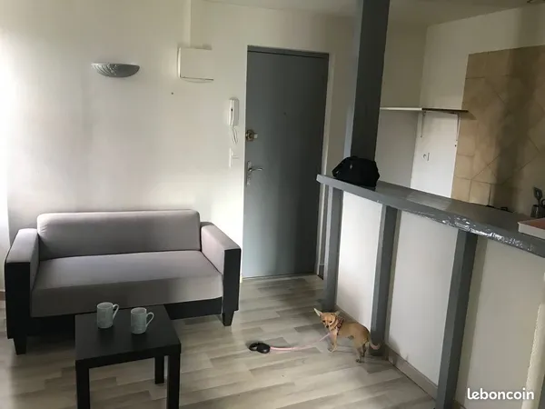 Appartement f1 bis meublé