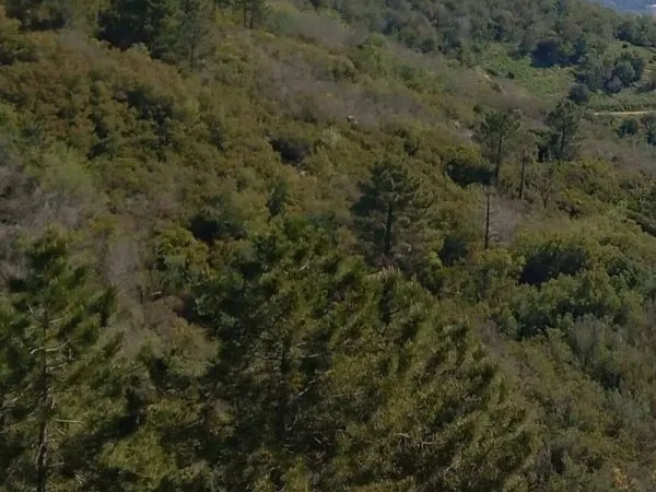 Terrain 1800 m²