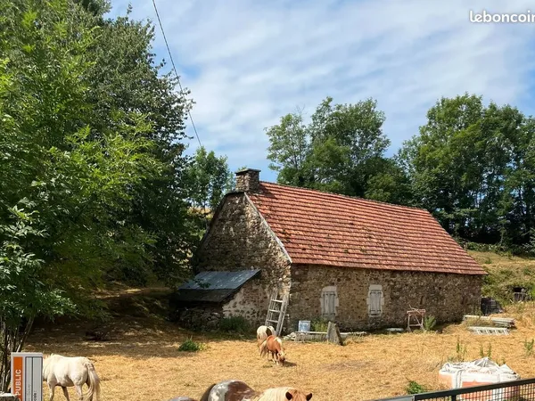 Batisse du 17e à vendre