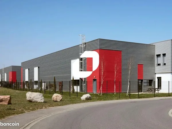Local bureaux 598 m²