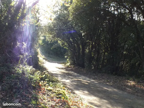 Vallée de la Mare, terrain plat