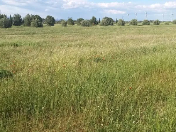 Terrain 842 m²