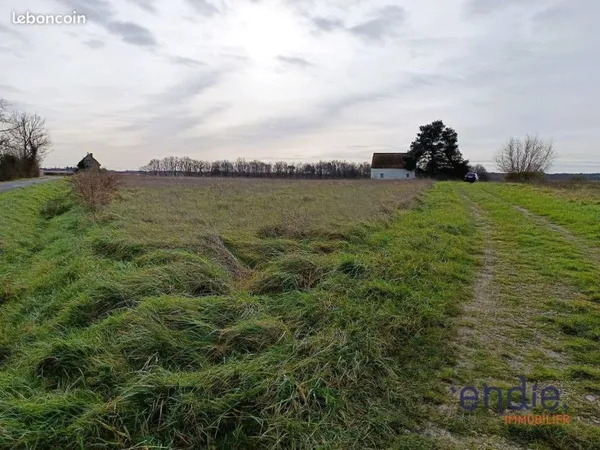 Terrain 1 pièce 6248 m² LIGUEIL