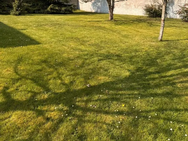 🏡 Terrain à bâtir 971 m² - Ménilles (27) - 70 000 net vendeur