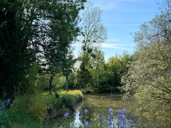 Propriété habitation, bâtiments multiples, étang, forage, sur 2 hectares