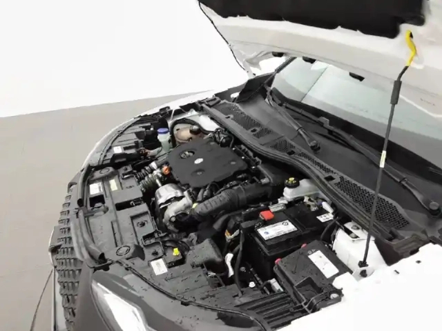 Ds Ds 3 ds3 crossback bluehdi 130 eat8 — photo 37