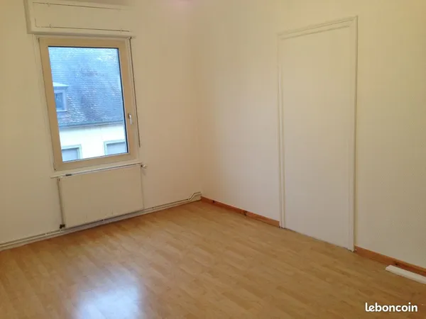 Début Schiltigheim F3 tt confort, cour et grand jardin collectifs