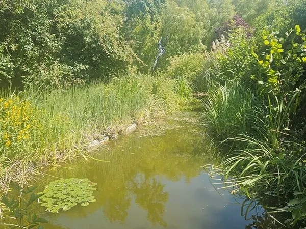 Terrain 2620 m² FARBUS