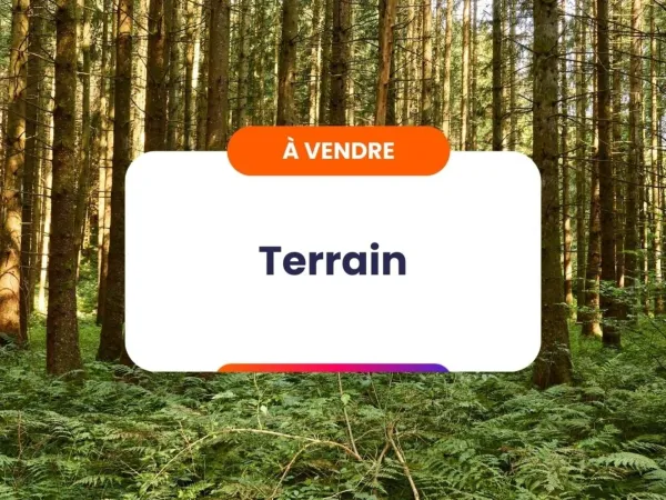 Terrain 1187 m²