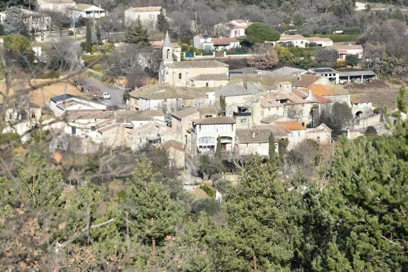 Photo 3