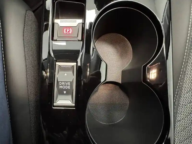 Peugeot 208 100 s&amp;s bvm6 — photo 54