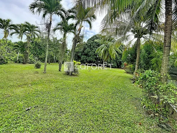Terrain 454 m²