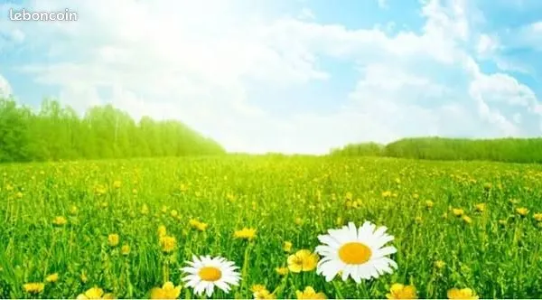 Terrain 1 000 m² Alizay