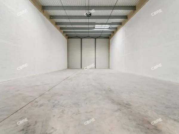Local d'activité 2016 m²