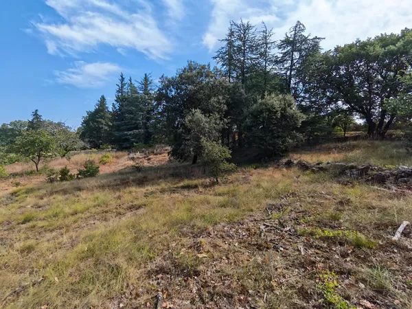 Terrain 1000 m²