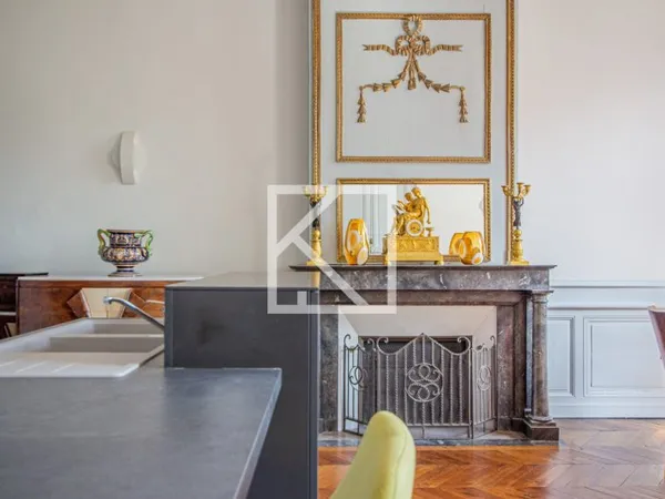 Appartement Haussmannien en hyper centre ville