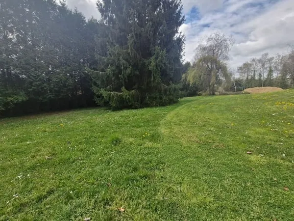 Terrain 991 m²