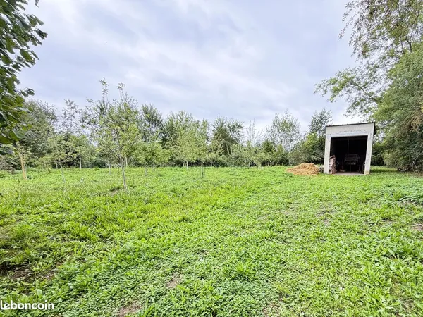 Terrain 1305 m² LA LONGUEVILLE
