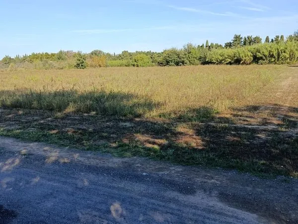 Terrain agricole à Toulouges