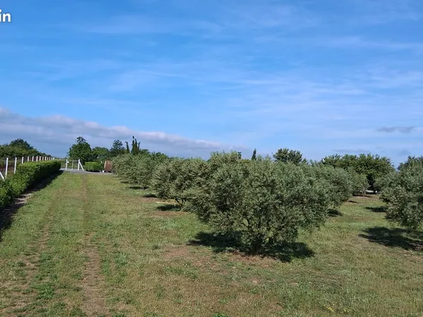 Terrain de loisirs et agricole
