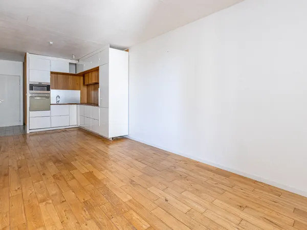APPARTEMENT - CLEMENCEAU