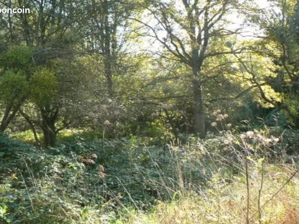 Terrain de loisir