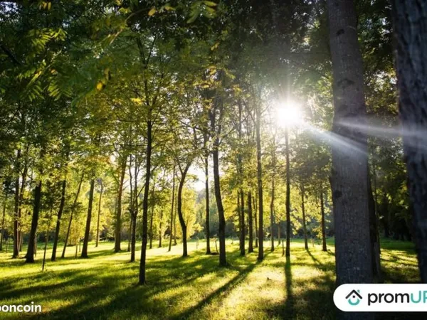 Forêt 645 m² Meusnes